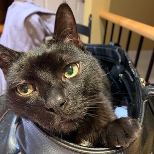 Meet your Posher, Aldona